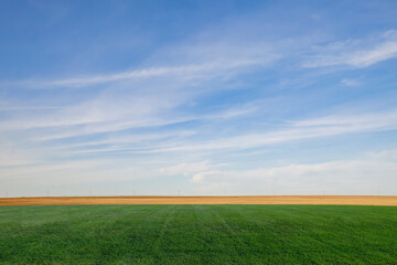 Green grass and blue sky with white clouds,