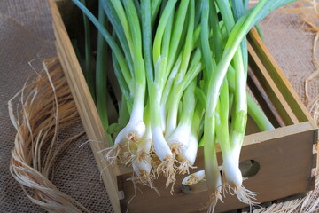 Organic Green Onions