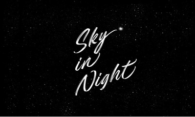 Obraz na płótnie Canvas sky in night vector art background