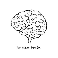 Hand drawn human brain with inscription. Side view. Black outline isolated on white background. Vector illustration