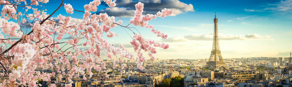 skyline of Paris with eiffel tower