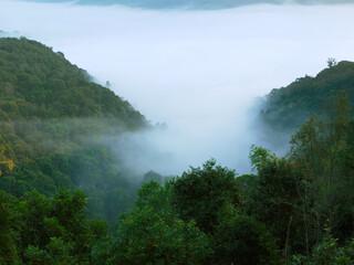 Landscape of the mist covered Mountain in the morning with warmed sun beams for background wallpaper