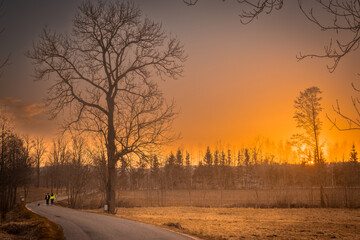 Sunset evening in the Pogórze Izerskie area in Poland in the early spring landscape with some trees and lonely road