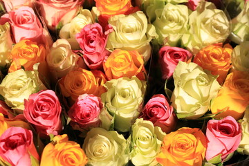 Bouquet of roses in sunny March