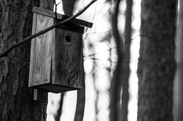 Birdhouse