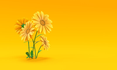 Daisy flowers on yellow background 3d rendering