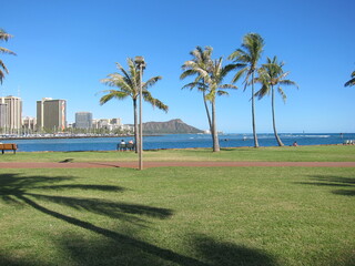 View of Waikiki beach and Diamond Head mountain summit from between palm trees. Green grass, blue sky with no clouds, deep blue sea. Long shadow of a palm tree over the floor. Ala Moana, Hawaii.