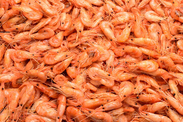 Tasty fresh shrimps as background.