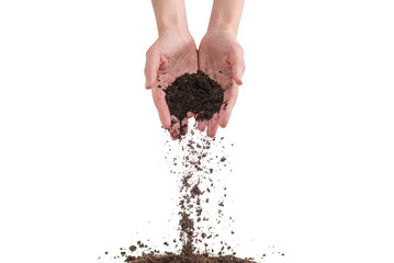 Brown soil in woman hands isolated on white.