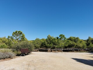 Long Walk, a path in the park