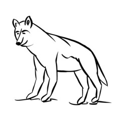 Wolf, dog, contour doodle drawing. A simple linear sketch of a wild animal. Vector illustration in black color isolated on a white background. A cute abstract forest animal with a kind expression.