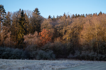 Landschaft im Fr&uuml;hjahr