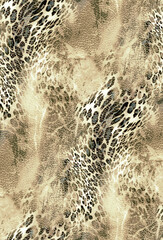 Seamless leopard pattern, animal print.