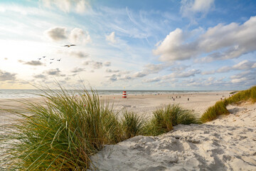View to beautiful landscape with beach and sand dunes near Henne Strand, North sea coast landscape Jutland Denmark - 496183647