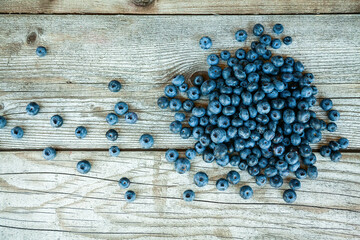 Fresh ripe blueberry