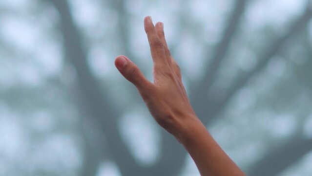 Closeup shot of Female hand in background of foggy trees at Saputara Hill Station, Gujarat, india. Human with nature concept. Monsoon weather background.