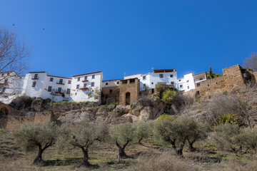 Fototapeta na wymiar Ronda houses with olive trees