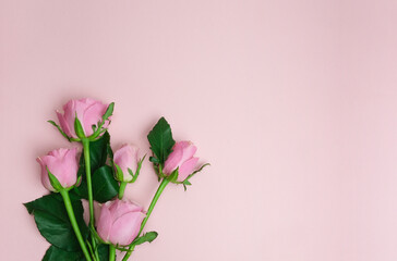 Pink roses on a pink background. Greeting card. Birthday, Mother's Day, Valentine's Day. Top view, flat lay, copy space.