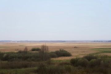 Fototapeta na wymiar Early spring on the edge of biebrza marshes, April landscape