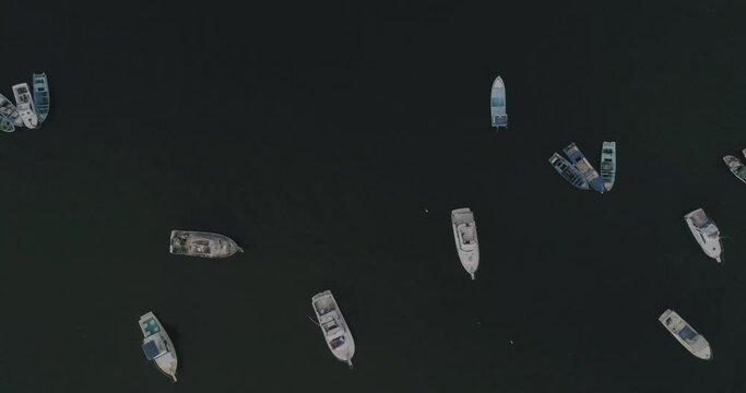 barcos