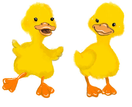 cute yellow ducklings isolated on white background. Bright, colorful illustration for kids, cards, nursery poster design