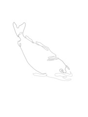 Lineart Fish