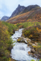 Fototapeta na wymiar A stream flowing down the valley from the norwegian mountains