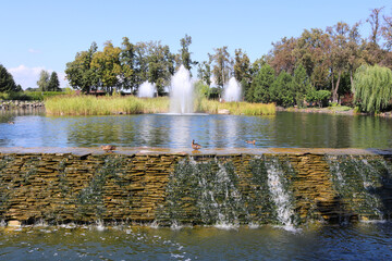 Artificial lake with fountains, waterfall and ducks. Beautiful landscape park. Sunny day. Spring or summer