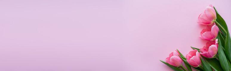 Fototapeta premium top view of bouquet of blooming flowers isolated on pink, banner.