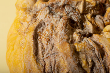 Closeup photography of the mold on pumpkin.