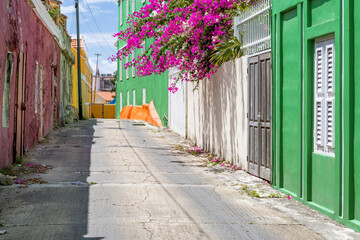 Sunny day in Willemstad, Curacao - walking through alleys with colorful painted houses and blooming bougainvillea