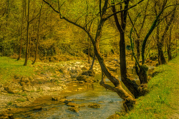 Fototapeta premium Mountain river during cloudy day.