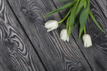 Bouquet of white tulips on black pine boards.