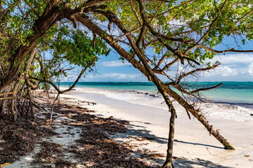 cabane sur la plage