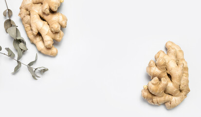 Fresh ginger root, eucalyptus branches on gray background top view flat lay. Spice for cooking, herbal tea with ginger to boost immunity. Natural organic ginger for health, medicine, protection colds