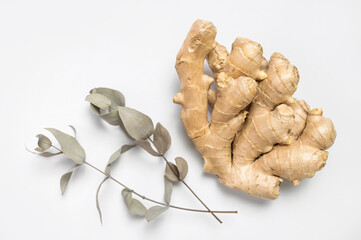 Fresh ginger root, eucalyptus branches on gray background top view flat lay. Spice for cooking, herbal tea with ginger to boost immunity. Natural organic ginger for health, medicine, protection colds