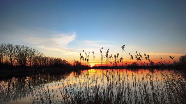 Lakeside spring sunset with burning sky, reed and trees, painted clouds in Hungary in March. 