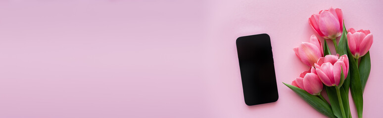 top view of tulips near smartphone with blank screen on pink, banner.