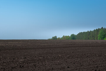 The field after processing the tractor in the spring before planting.