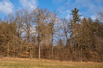 Obraz premium Landschaft im Frühjahr