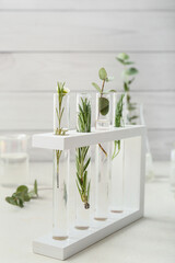Test tubes with natural essential oils in laboratory