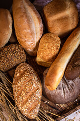 Different kinds of bread, top view, bright background