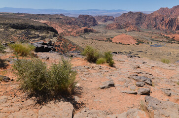 Snow Canyon scenic overlook in St. George, Utah, United States