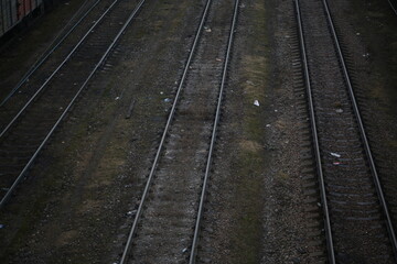 Obraz na płótnie Canvas Abandoned railroad tracks. Steel rails overgrown with grass