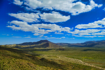Looking down Mescal Bajada from Kenyon Overlook near Borrego Springs, Anza-Borrego Desert State...