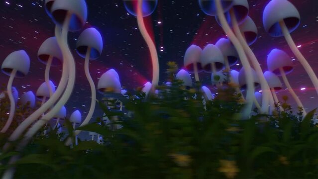 3d magic mushrooms blue glow 360 star beams