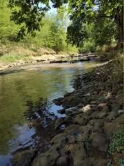 river in the forest