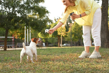 Young woman playing with cute Jack Russel terrier in park