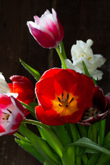 Tulip flowers in wooden background