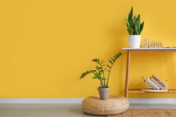 Pouf, table with houseplants and books near color wall